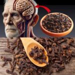 El Secreto Revelado: ¿Por Qué Masticar Clavos a Diarios Transformará Tu Salud?