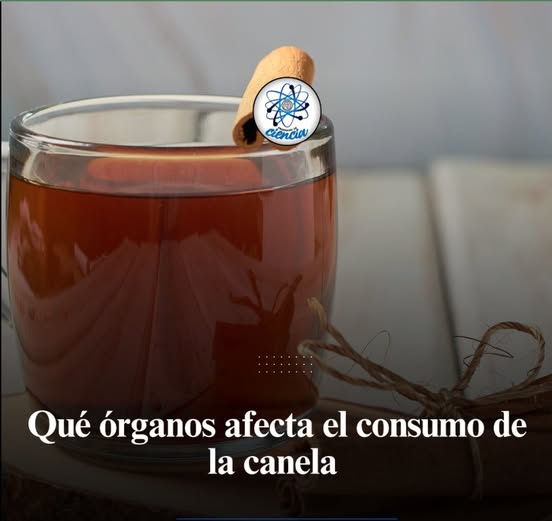 Interacción social y bienestar