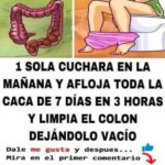 Receta Natural para Limpiar el Colon y Mejorar tu Salud Digestiva