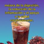 UNA BEBIDA TRADICIONAL CON MULTIPLES BENEFICIOS PARA LA SALUD
