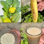 EL SECRETO NATURAL QUE PUEDE TRANSFORMAR TU SALUD Y ALEJARTE DEL HOSPITAL
