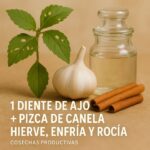 La barrera natural definitiva contra insectos masticadores y hongos
