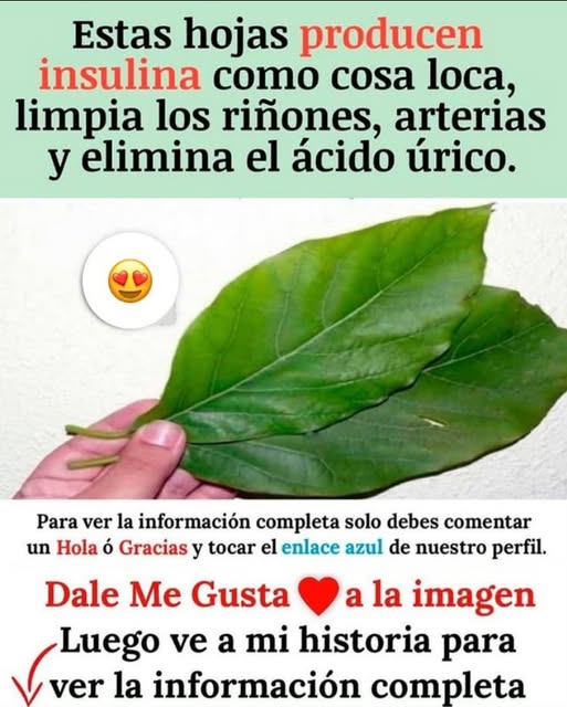 Hojas de higo