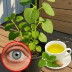 La Planta Milagrosa que Mejora la Visión