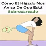 Cómo Identificar que tu Hígado está Sobrecargado: Signos y Remedios Naturales