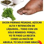 Infusión de Perejil: El Remedio Natural para Piernas Pesadas, Azúcar Alta y Retención de Líquidos