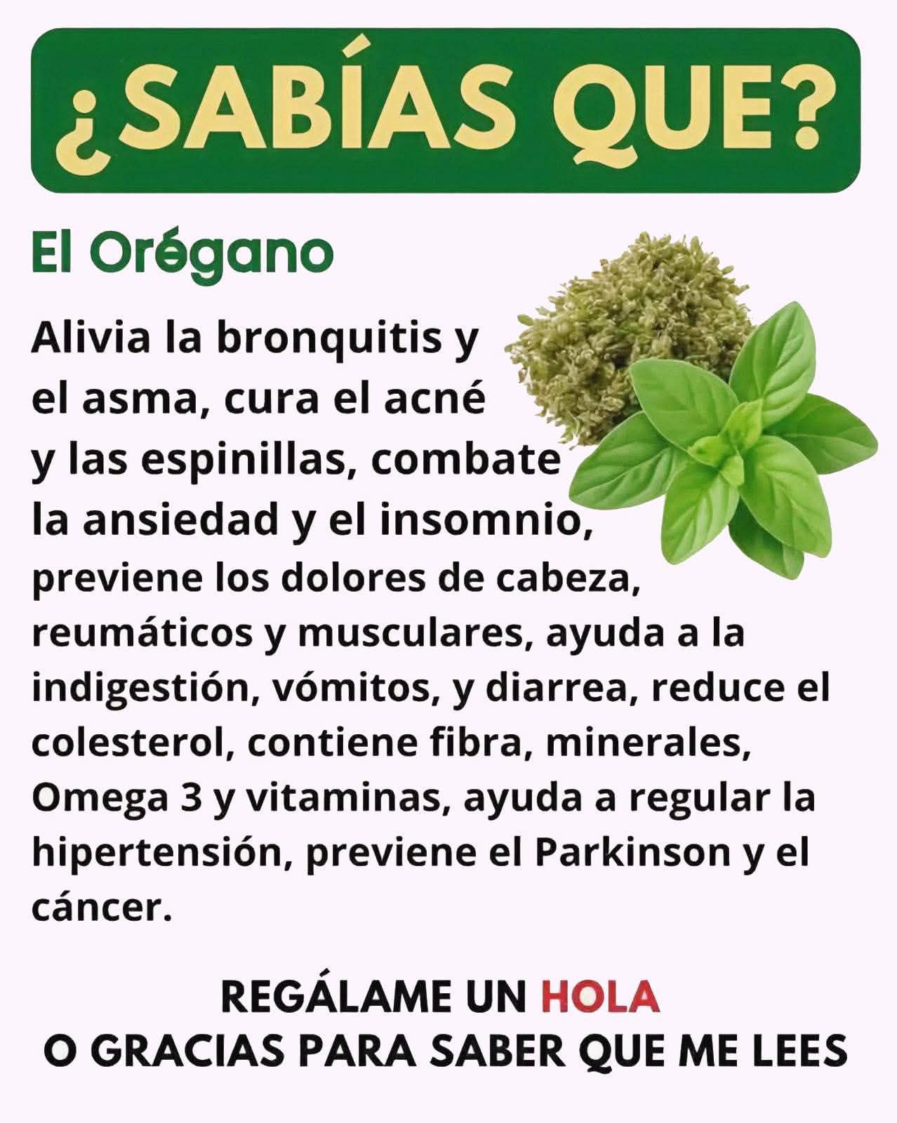 Hojas de orégano