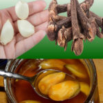 El Secreto Natural: Ajo, Miel y Clavos de Olor para Mejorar tu Salud