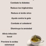 Té de Laurel en Ayunas: El Remedio Natural que Transformará tu Salud