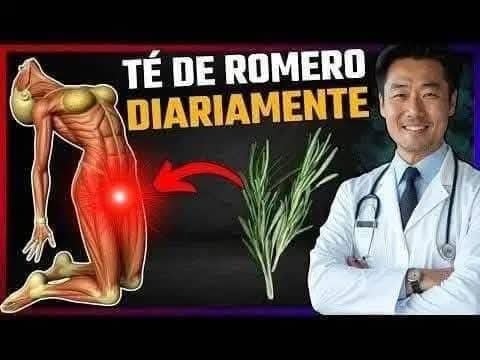 Té de Romero y sus beneficios