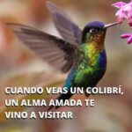 El Significado Espiritual de los Colibríes: Un Mensaje de Amor y Conexión