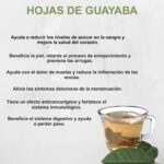 Descubre los Poderosos Beneficios del Té de Hojas de Guayaba