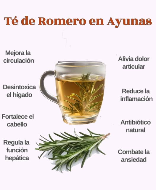 Té de Romero