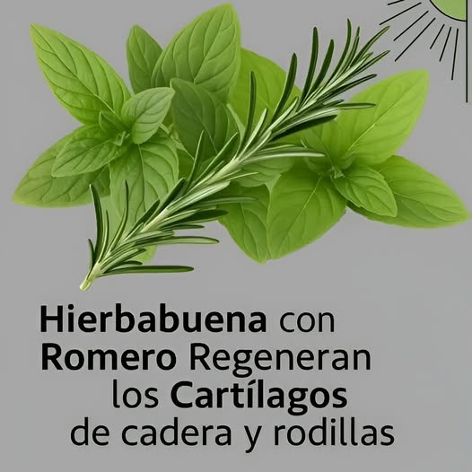 Hierbabuena y Romero