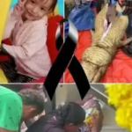 El Misterioso Caso de la Niña Encontrada: Una Historia de Esperanza