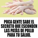 Los Sorprendentes Beneficios de las Patas de Pollo para tu Salud