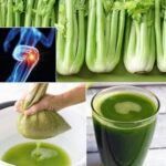 Los Sorprendentes Beneficios del Jugo de Apio: 7 Días para Transformar Tu Salud