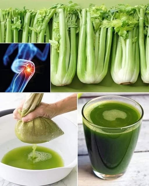 Jugo de Apio