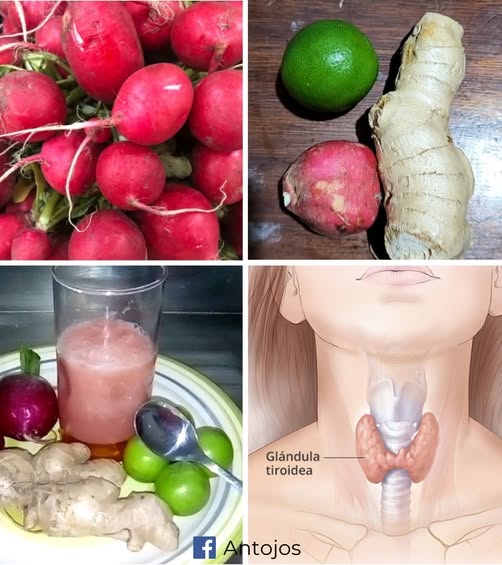 Jugo de rábanos y jengibre