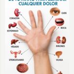 Puntos de Presión en la Mano: Remedios Naturales para Aliviar el Dolor