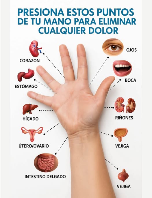 Puntos de presión en la mano para aliviar el dolor