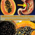 Papaya y Semillas: Tu Aliado Natural para Limpiar el Colon y Eliminar Parásitos Intestinales