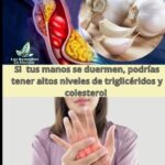 ¿Colesterol Alto? Esta Es La Solución Natural que Tu Corazón Necesita