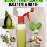 Shampoo Natural La Fórmula Casera que Fortalece, Regenera y Revitaliza tu Cabello