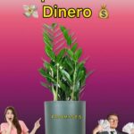 La Planta del Dinero: Prosperidad Natural y Bienestar Financiero