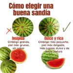 Cómo Elegir la Sandía Perfecta: Guía Práctica para Disfrutar de Frutas Dulces y Jugosas