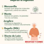 Plantas que Alivian la Hinchazón y Mejoran la Digestión