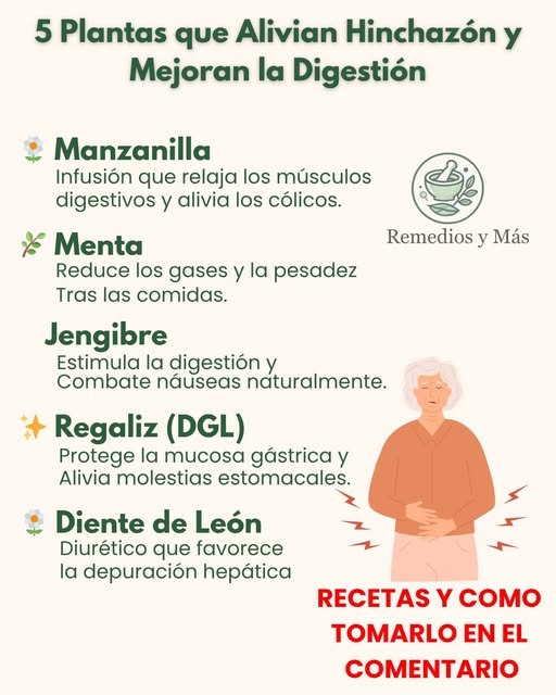 Plantas para aliviar hinchazón y mejorar la digestión