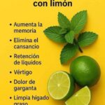 Beneficios del Jugo de Hierbabuena con Limón: Una Bebida Natural para la Salud