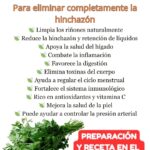 Descubre los Asombrosos Beneficios del Té de Perejil