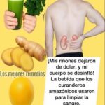 Alivio Natural para el Dolor de Riñones: Una Bebida Amazónica