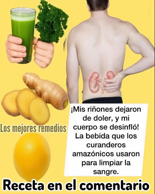 Ingredientes naturales para aliviar el dolor de riñones