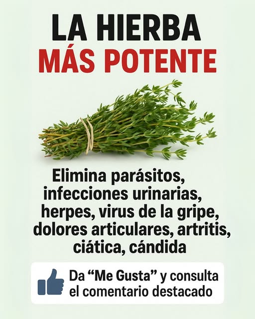 Hierba Mágica