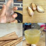 Remedios Caseros para la Salud: El Poder del Aloe Vera, Ajo y Canela