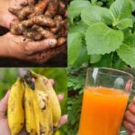 Transforma Tu Salud a los 60 Años: La Bebida Natural que Cambia Vidas