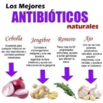 Antibióticos Naturales: Beneficios y Recetas para Fortalecer Tu Salud