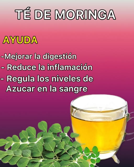 Taza de té de moringa