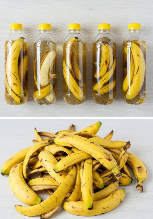 Botellas con plátano y cáscaras