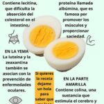 El Huevo Hervido: El Súper Alimento que Estás Subestimando