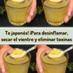 ¡Descubre el Té Japonés! Beneficios para Desinflamar, Secar el Vientre y Eliminar Toxinas