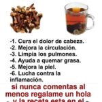 Descubre los Beneficios del Té de Clavo: Alivio Natural para Dolores e Inflamaciones