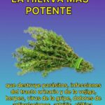 La Hierba Más Potente: Remedios Naturales para la Salud