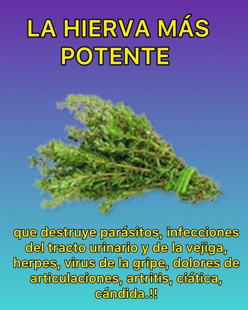 La hierba más potente