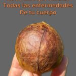 La Semilla Milagrosa: La Clave para Una Salud Óptima