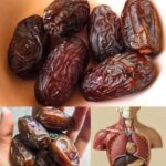 La Fruta Más Poderosa: Descubre los Increíbles Beneficios de los Dátiles para Tu Salud