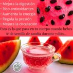 Los Asombrosos Beneficios del Té de Semilla de Sandía para Tu Salud